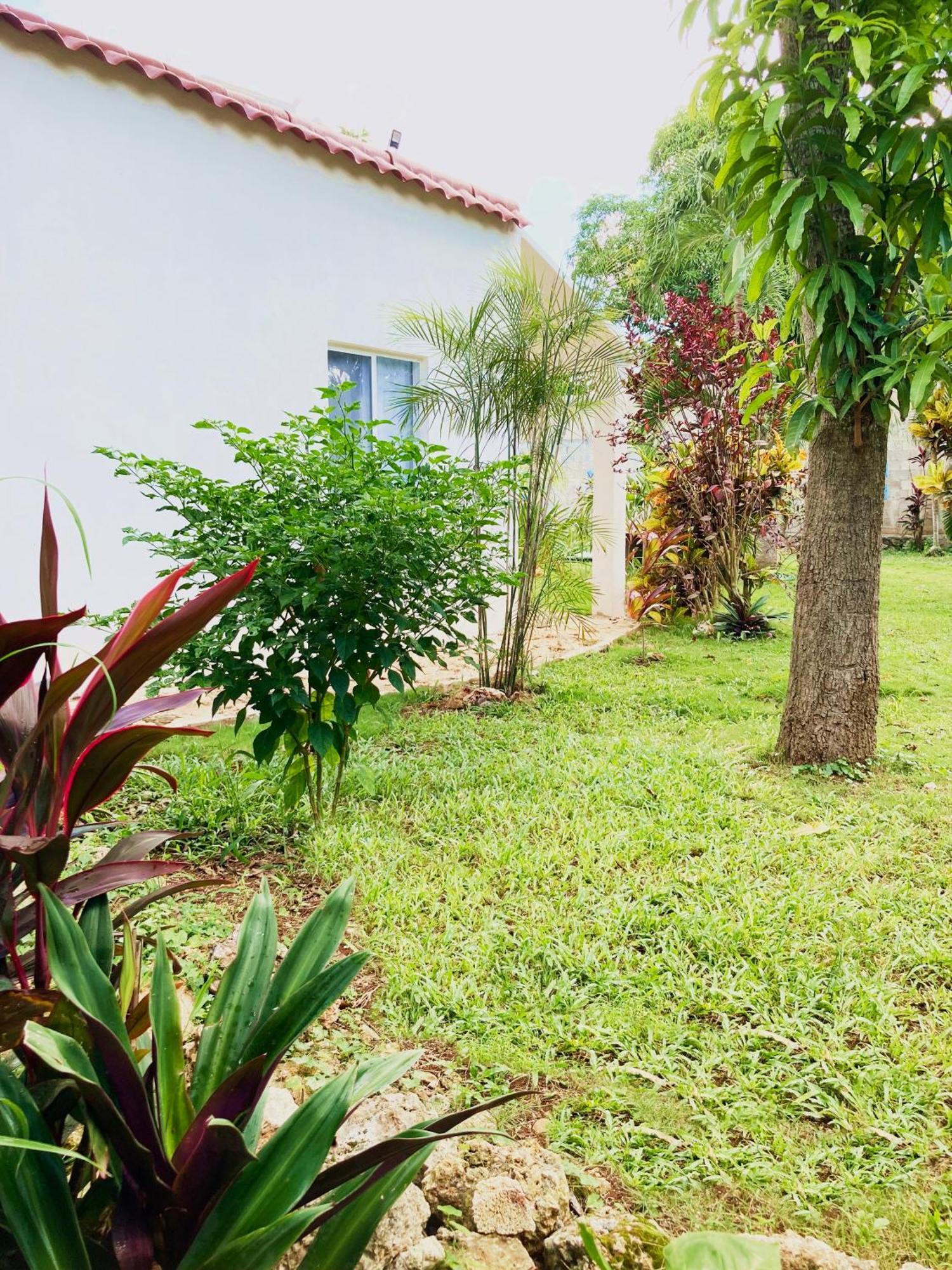 Paradise Apartment *