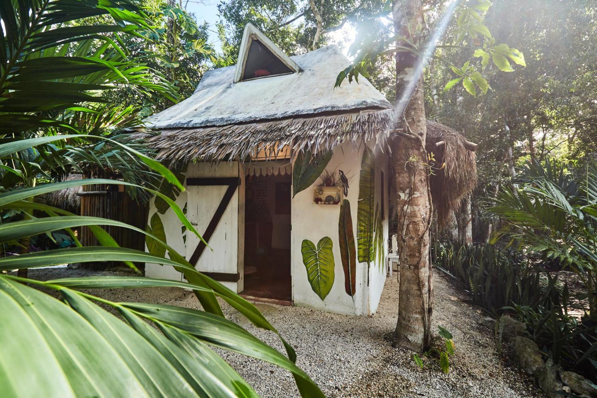 Guest house Corazon De Selva Macario Gomez