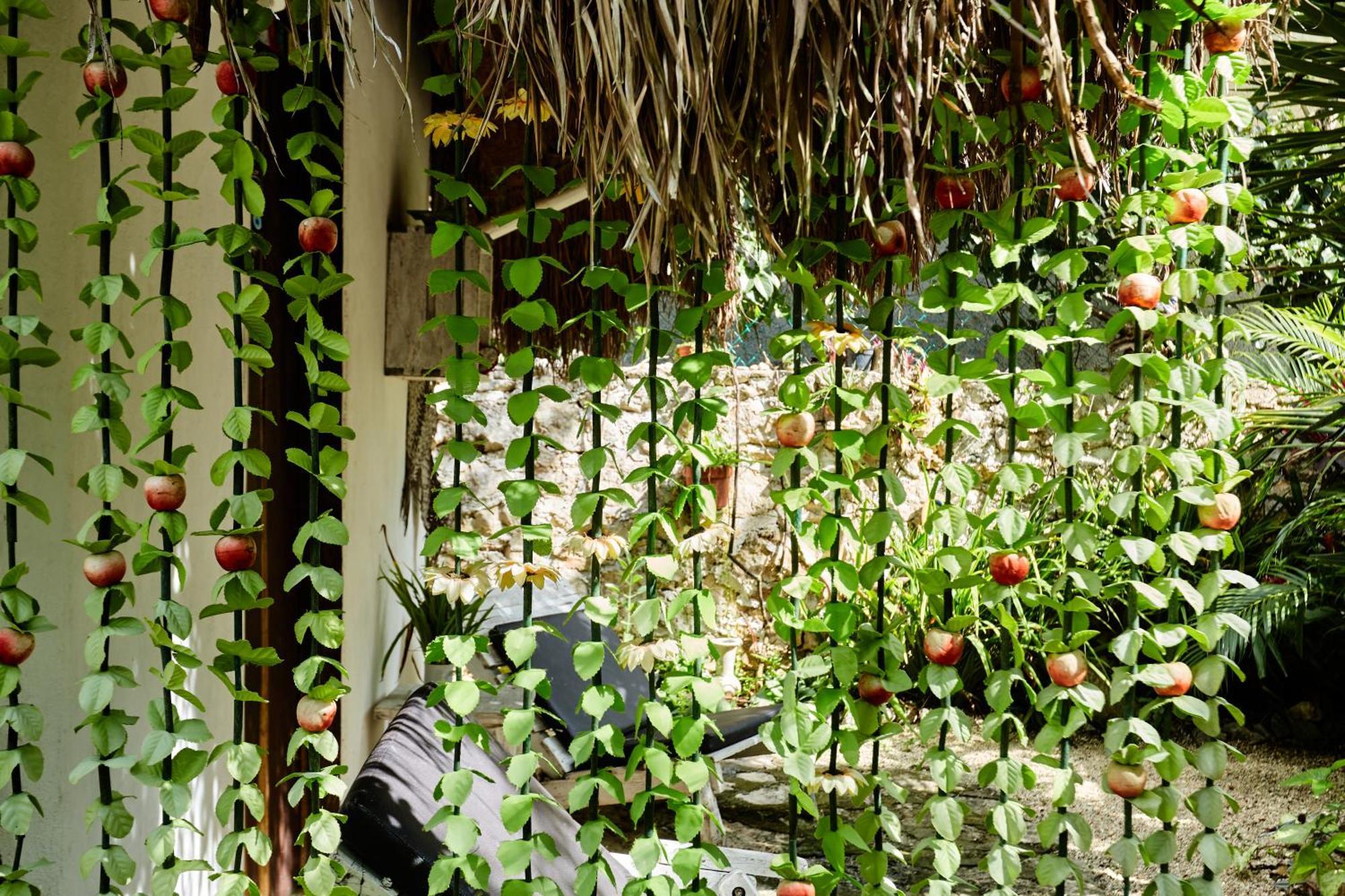 Guest house Corazon De Selva *