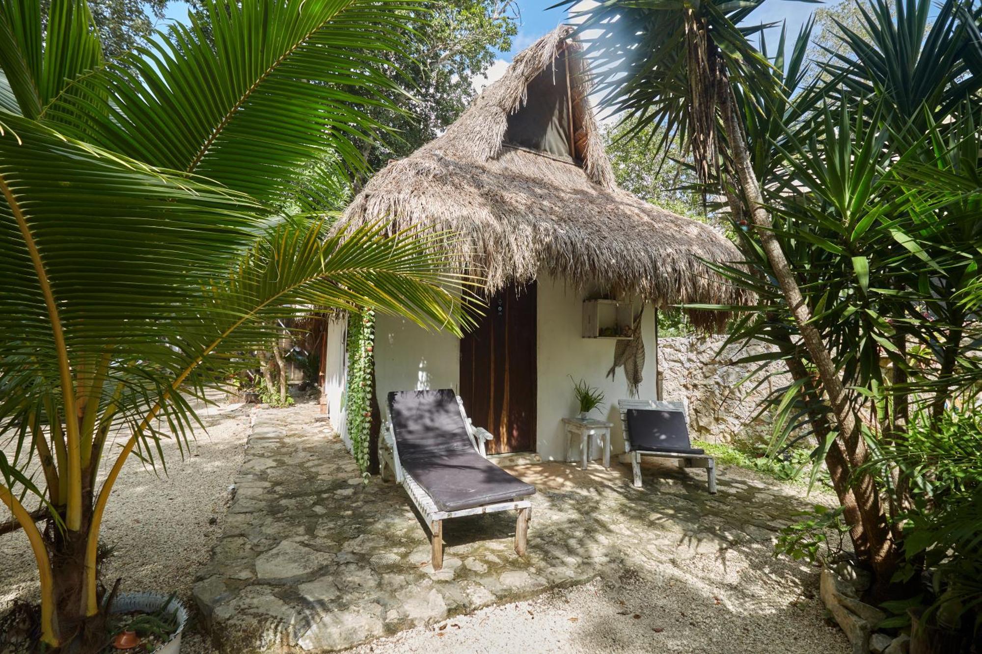 Guest house Corazon De Selva Macario Gomez