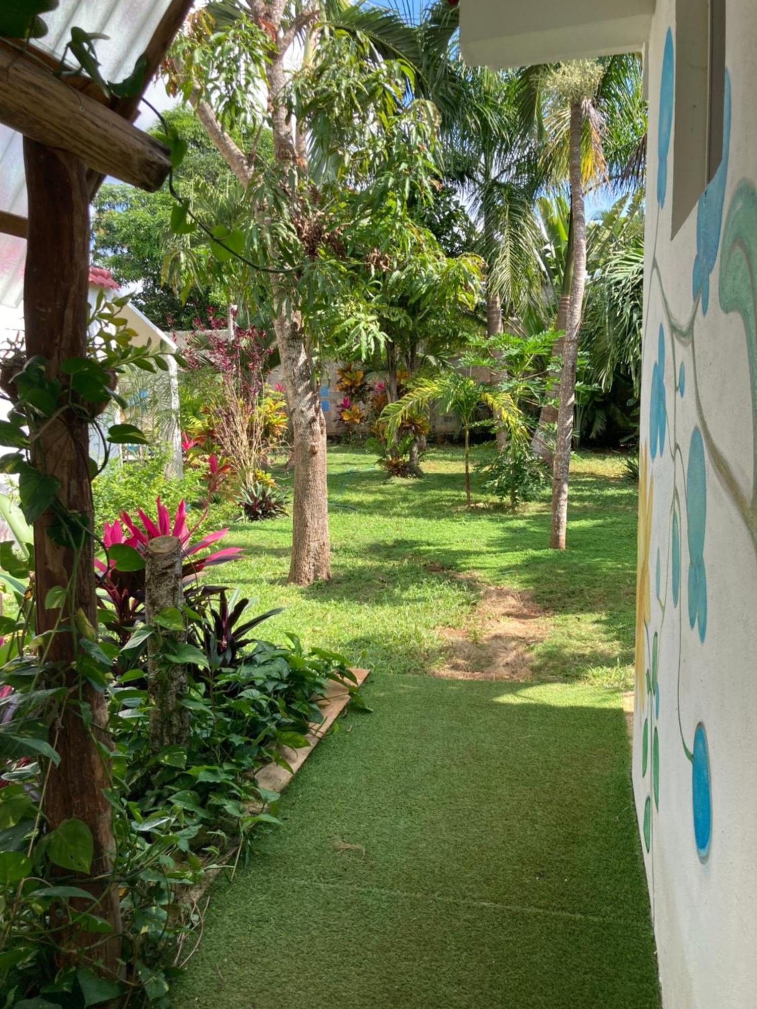 Apartment Paradise