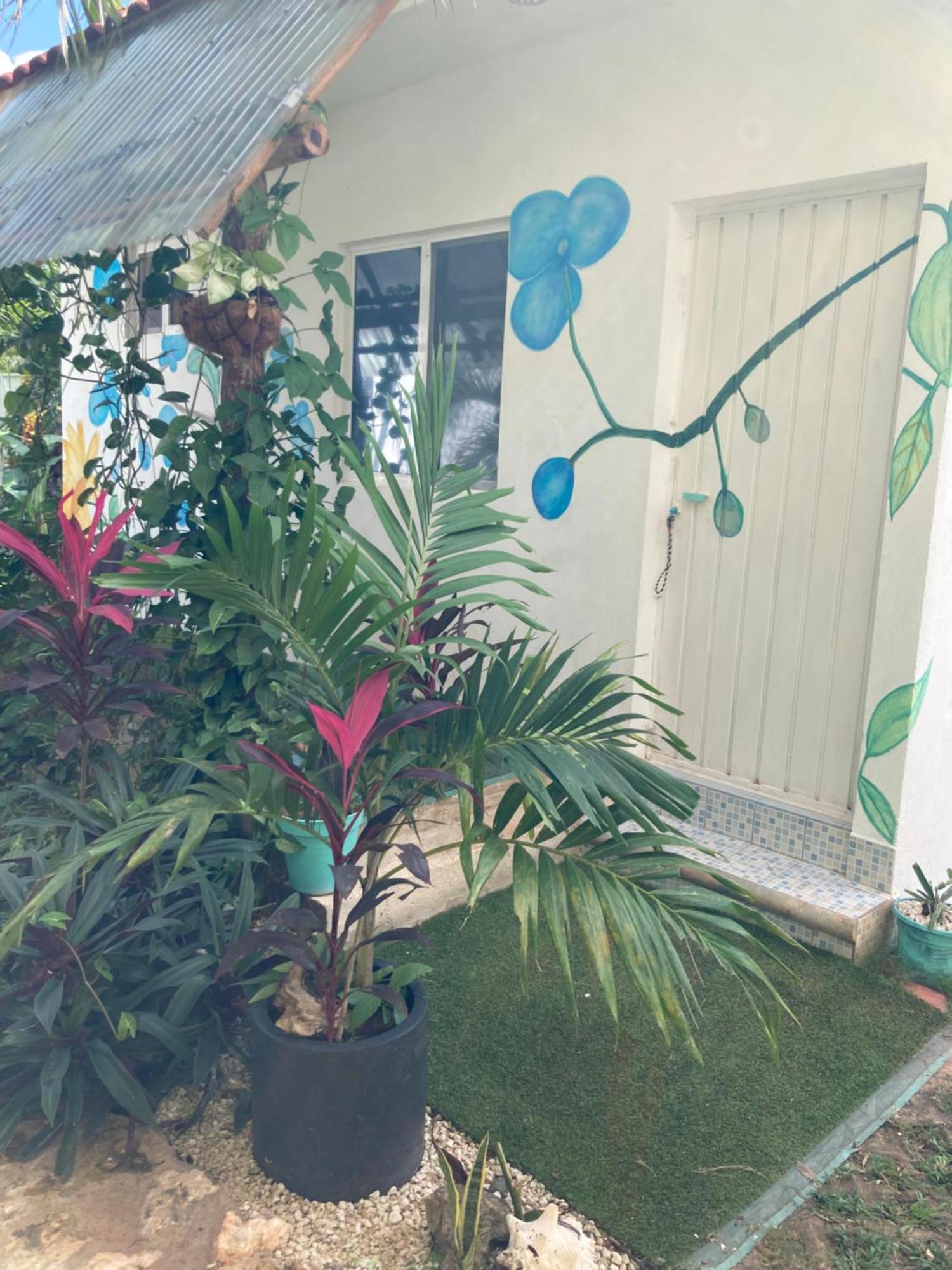 Apartment Paradise