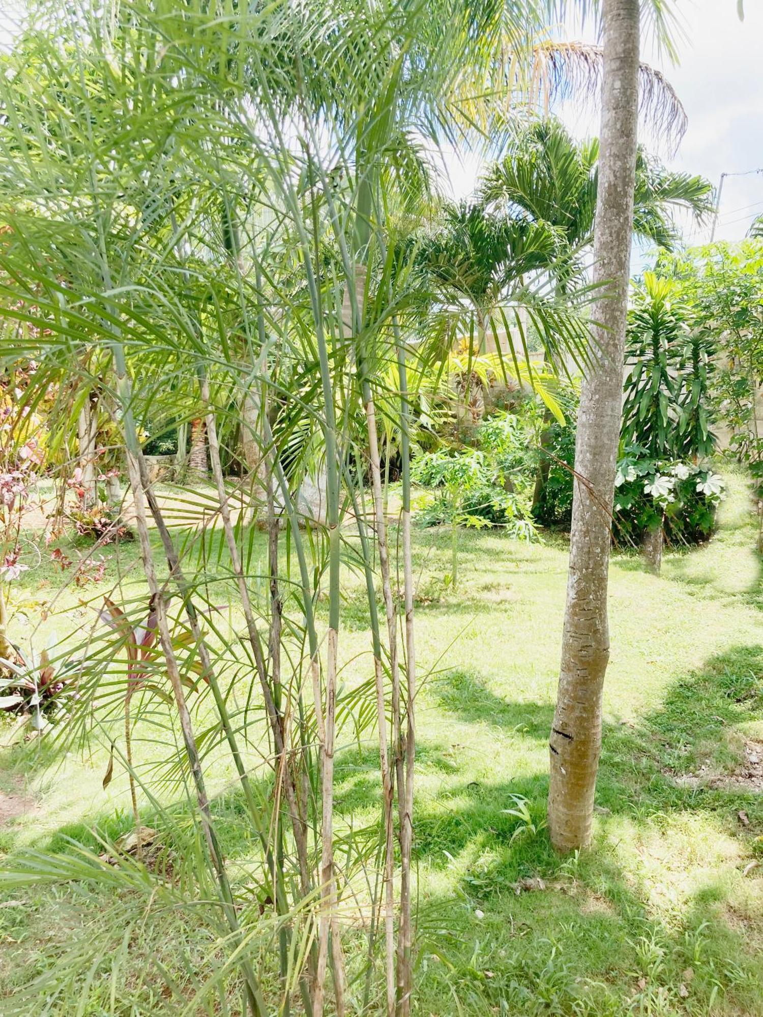 Apartment Paradise Leona Vicario