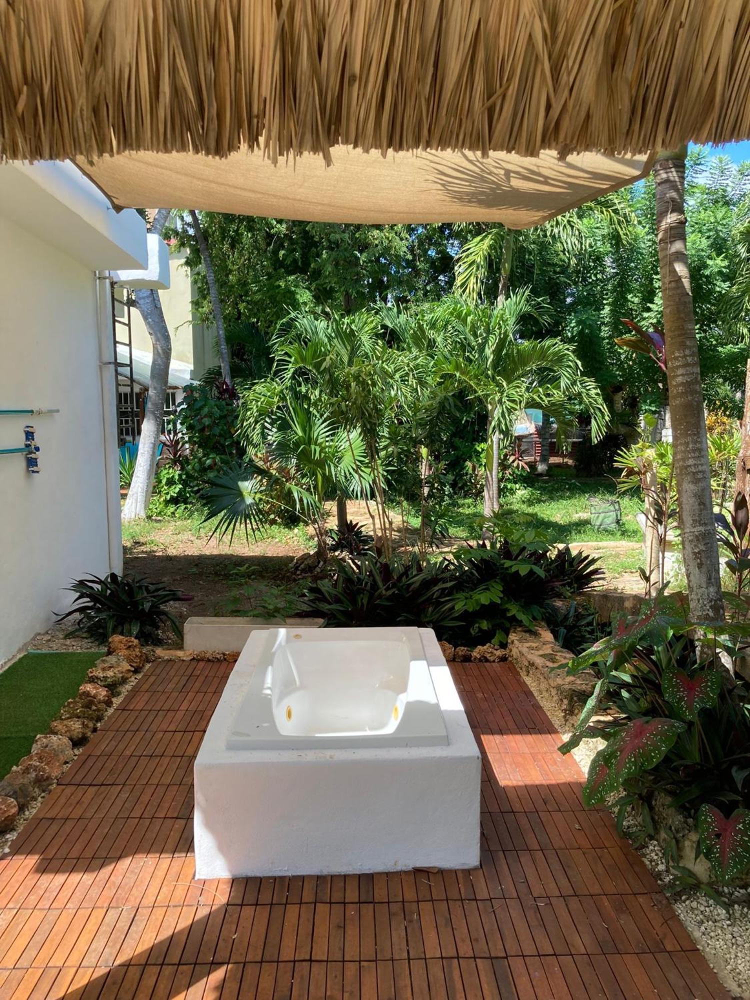 Paradise Apartment Leona Vicario