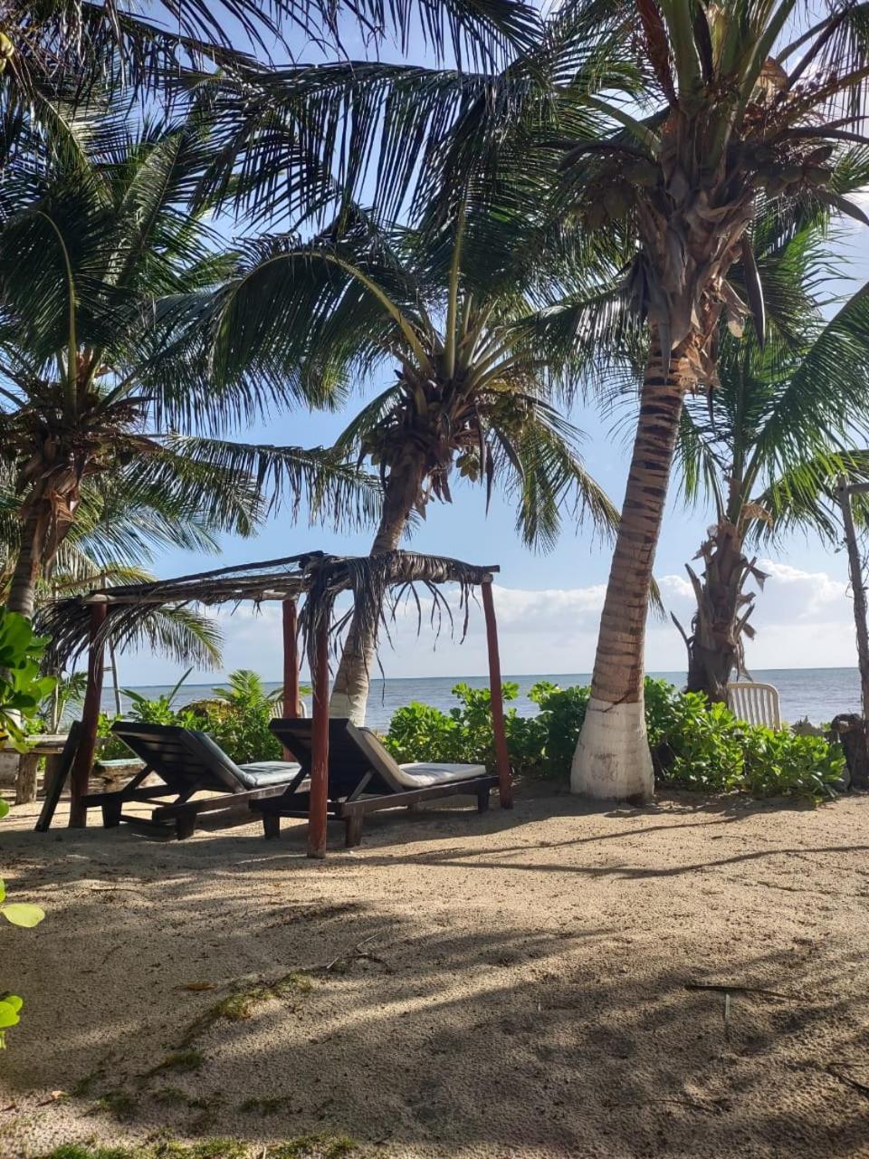 Lunazul Eco-cabana Frente Al Mar Lodge