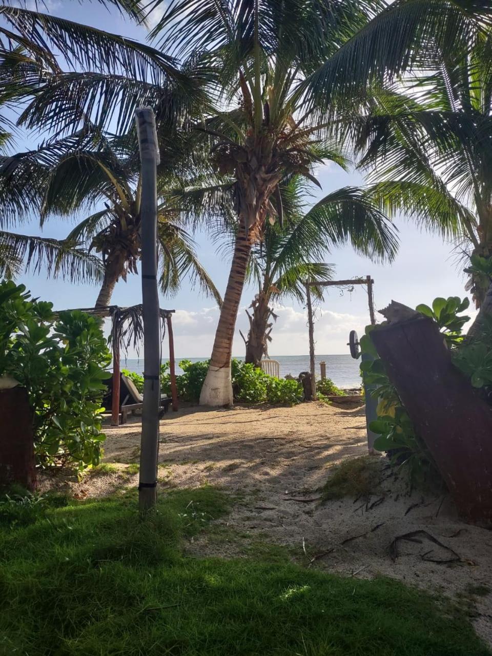 Lunazul Eco-cabana Frente Al Mar Lodge Mahahual