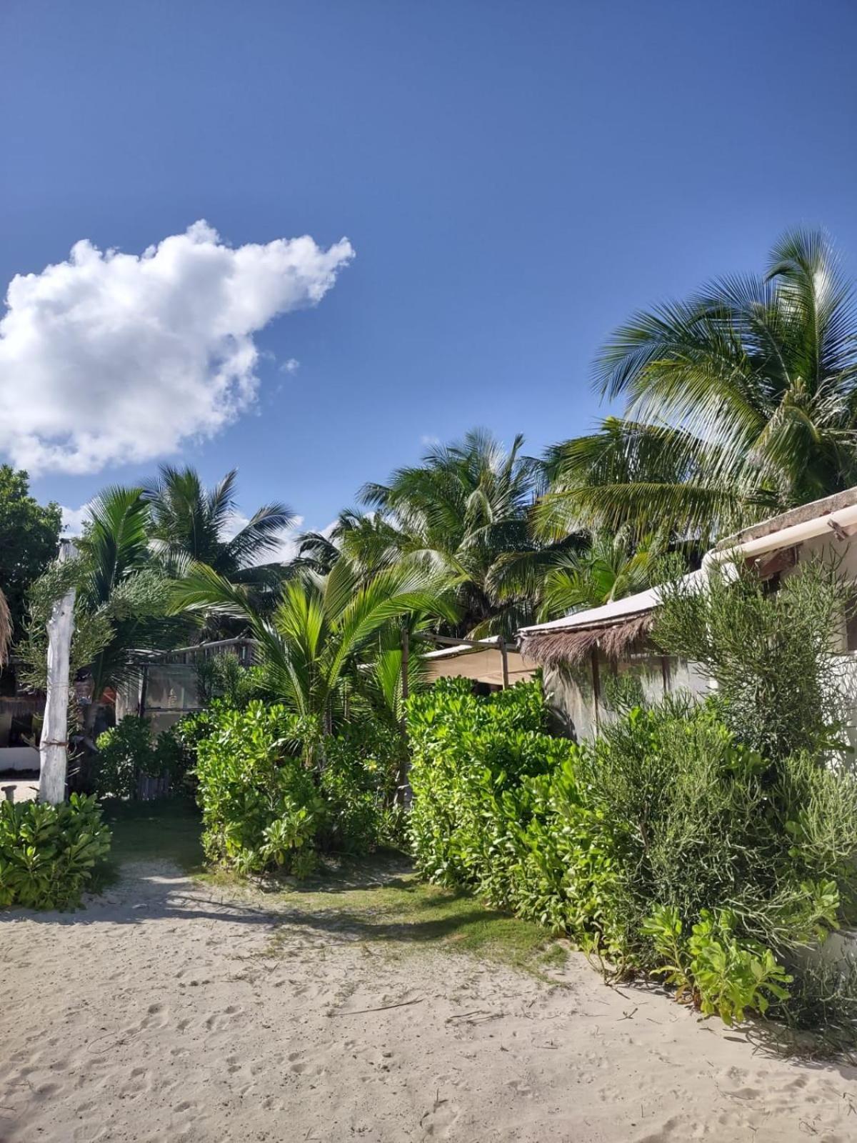Lodge Lunazul Eco-cabana Frente Al Mar Mahahual