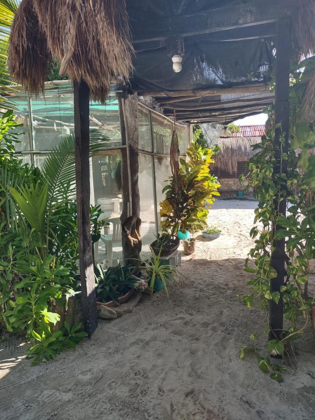 Lodge Lunazul Eco-cabana Frente Al Mar Mahahual