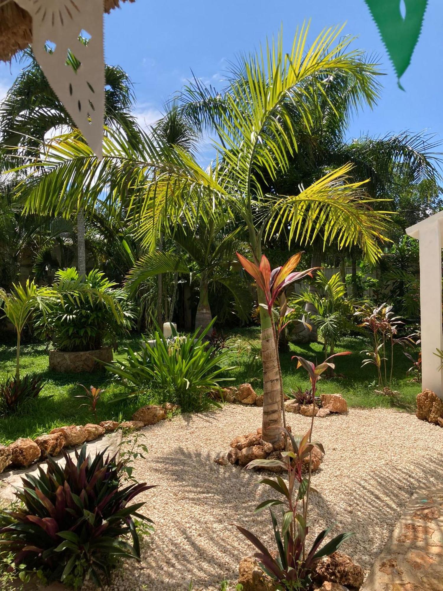 Apartment Paradise
