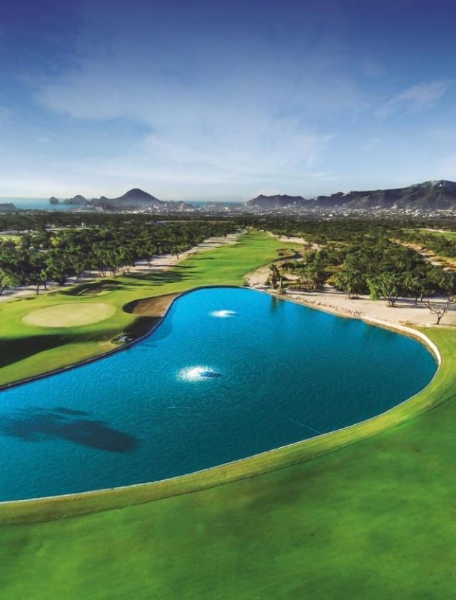 2bd & 2ba One Medano Kathys Apartment Cabo San Lucas