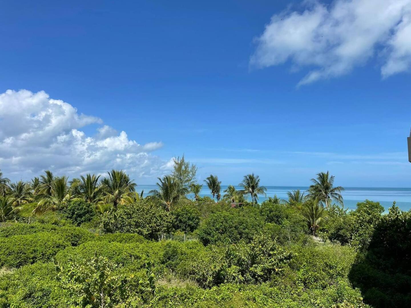 Hermoso Departamento Con Vista Al Mar Apartment Isla Holbox