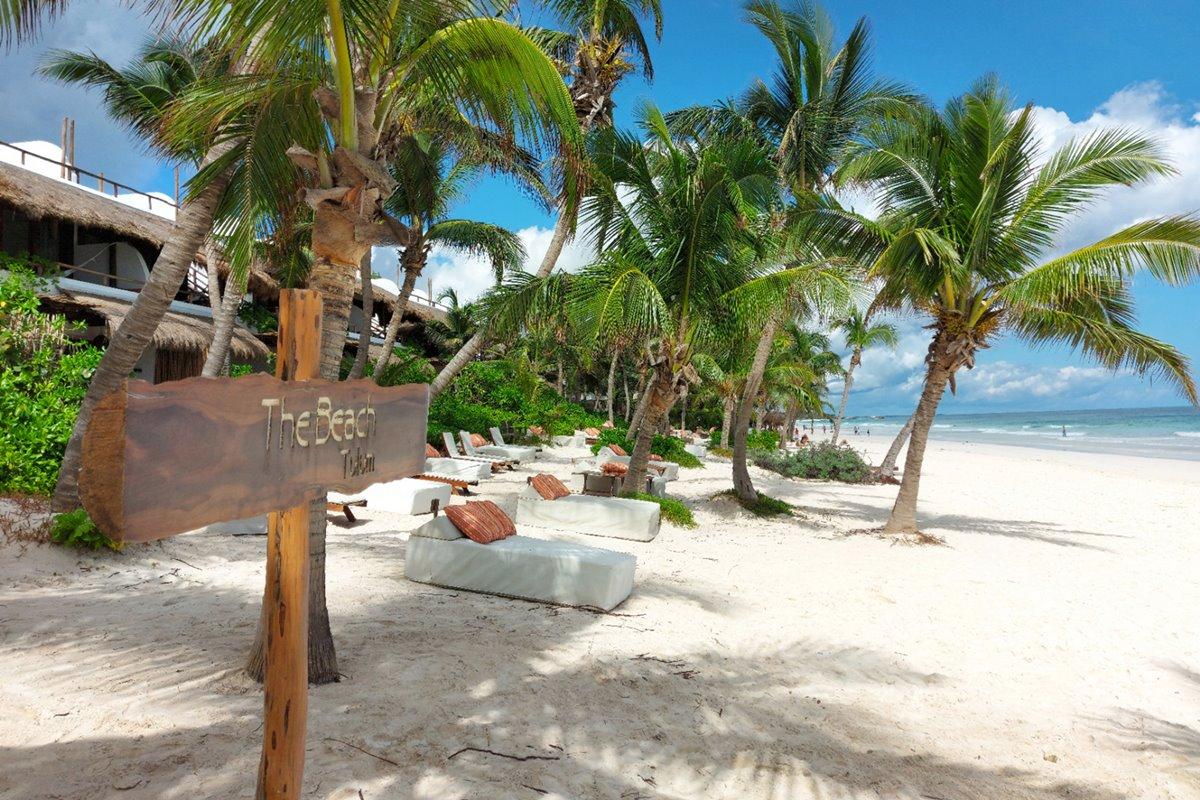 The Hotel 5*