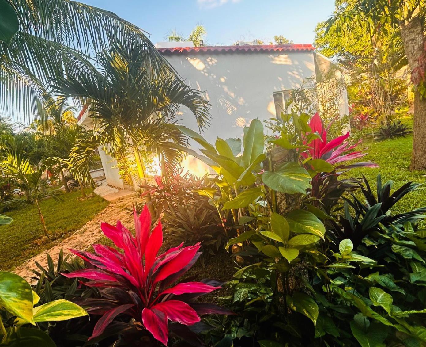 Paradise Apartment *