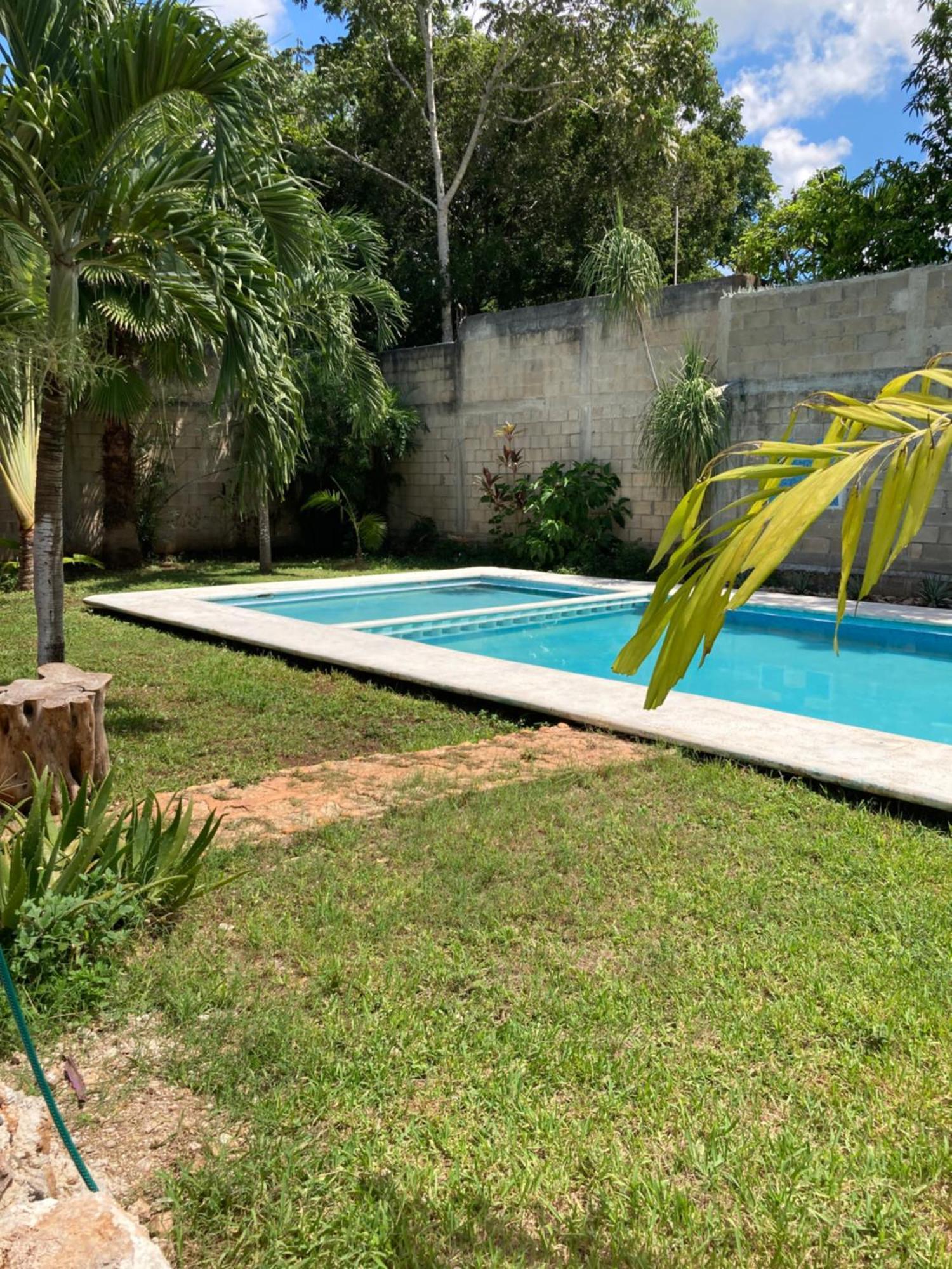Paradise Apartment Leona Vicario