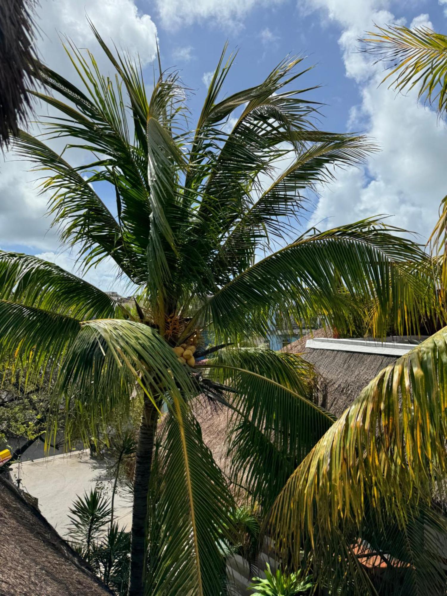 Hotel Kin Ha Tulum