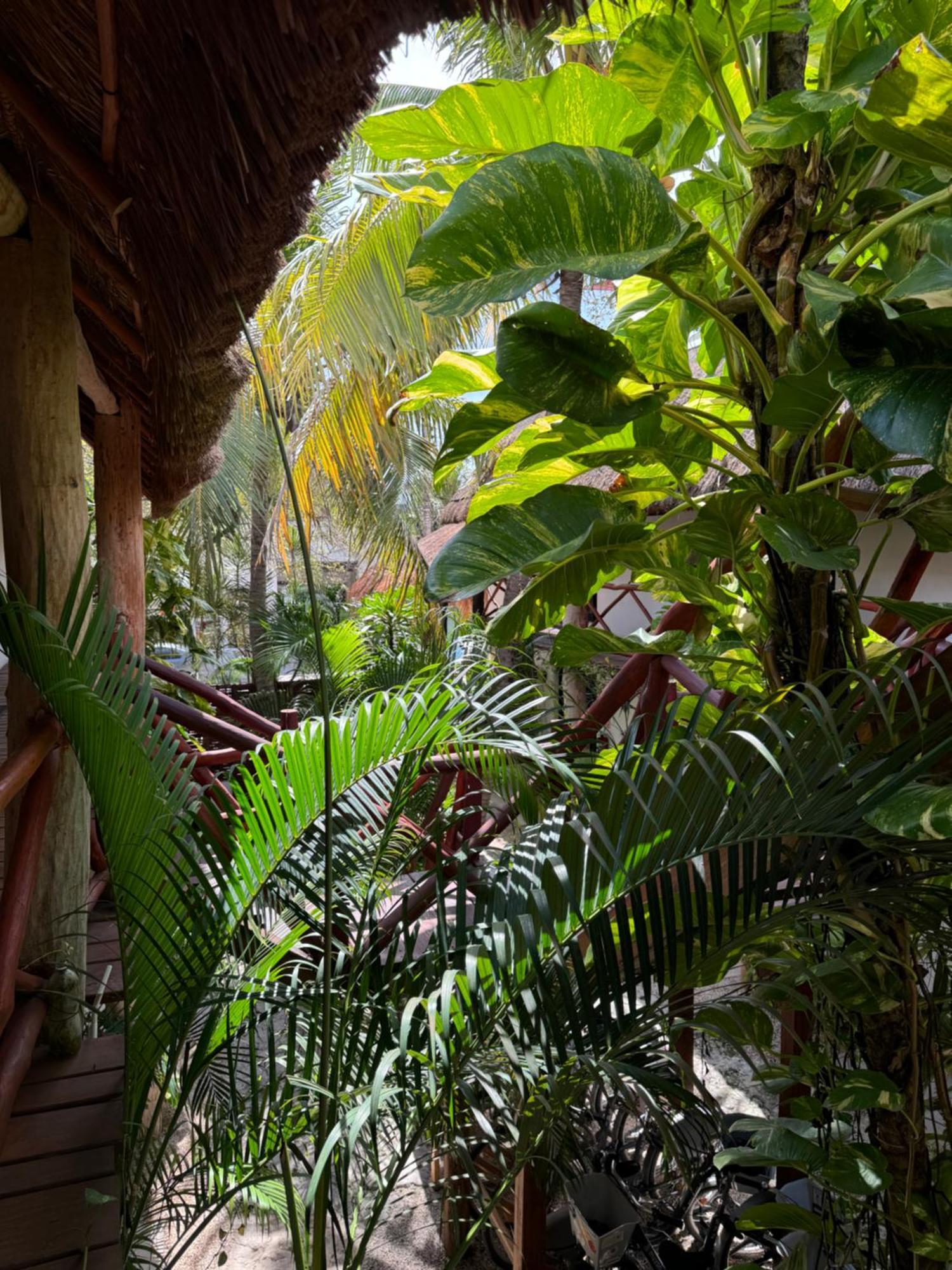 Kin Ha Tulum
