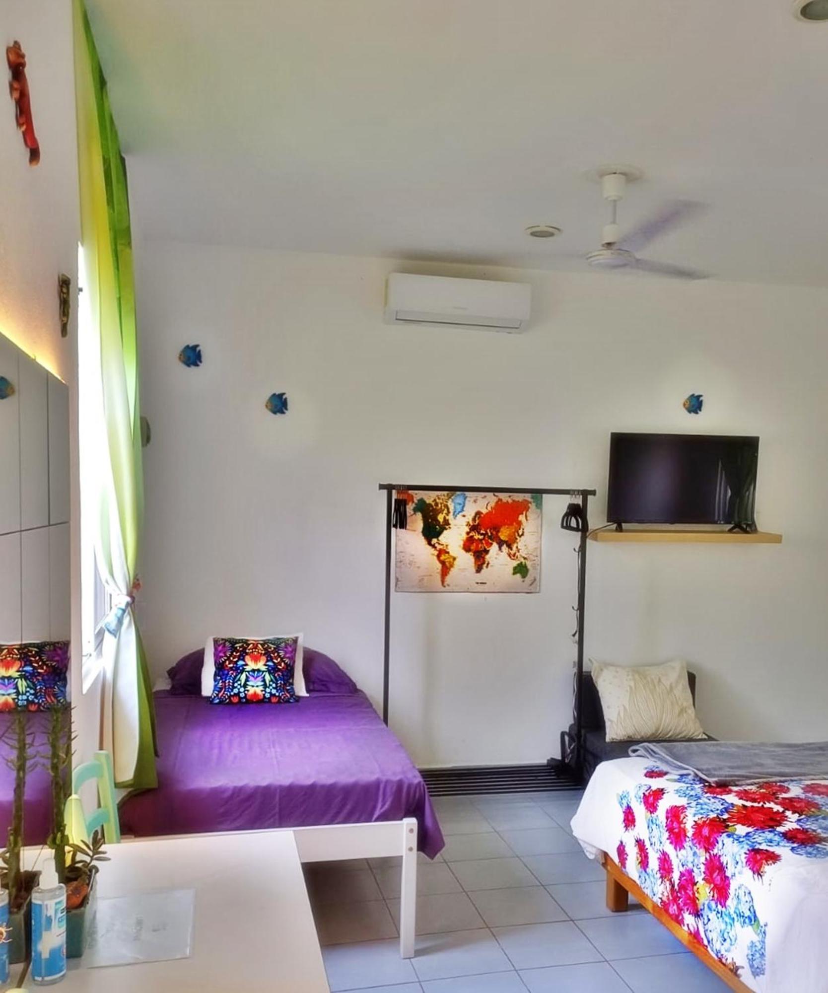 Paradise Apartment