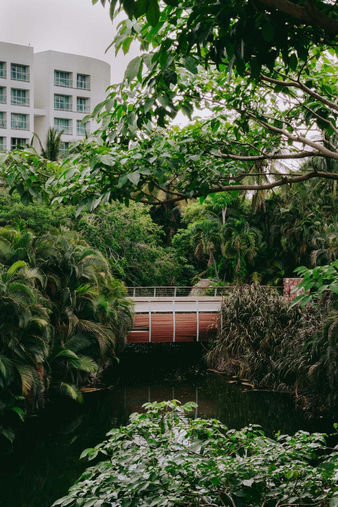 Modern Corner Seibal - Vidanta Apartment