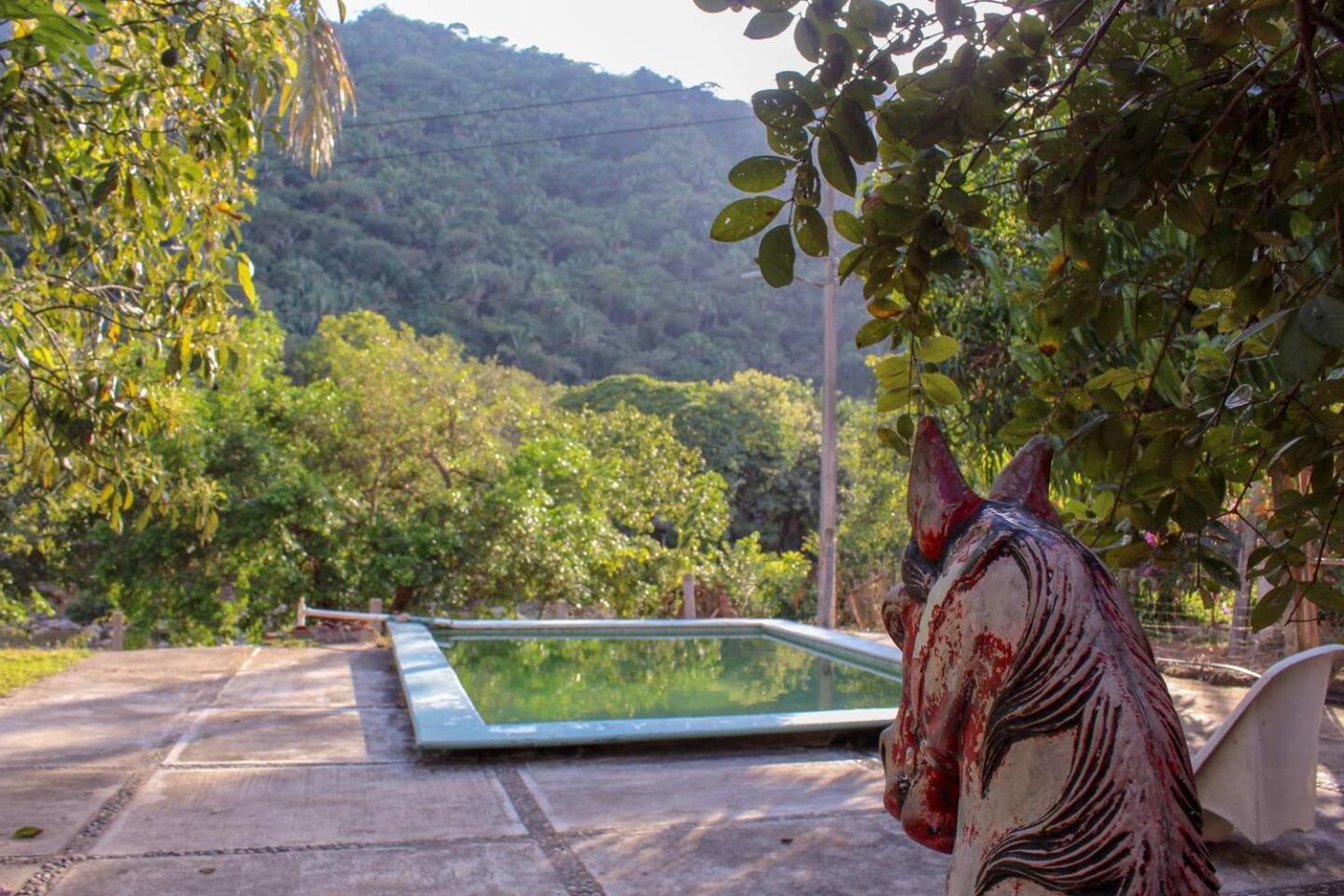 Homestay Casa La Potranca