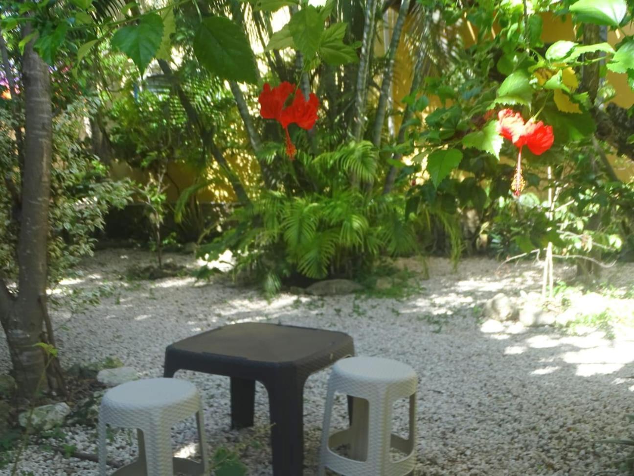Hotel Casa Abanico
