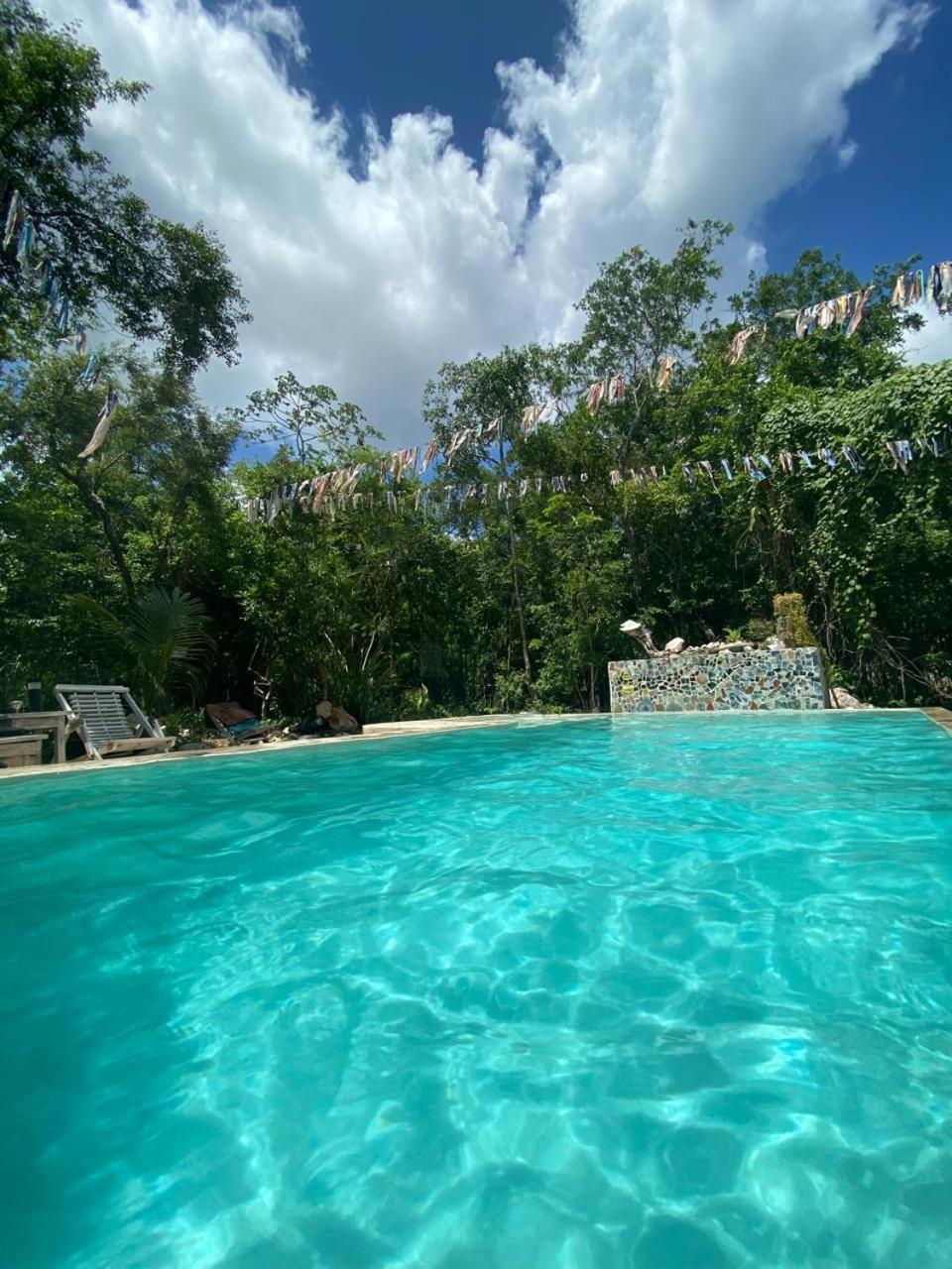 Corazon De Selva Guest house Macario Gomez
