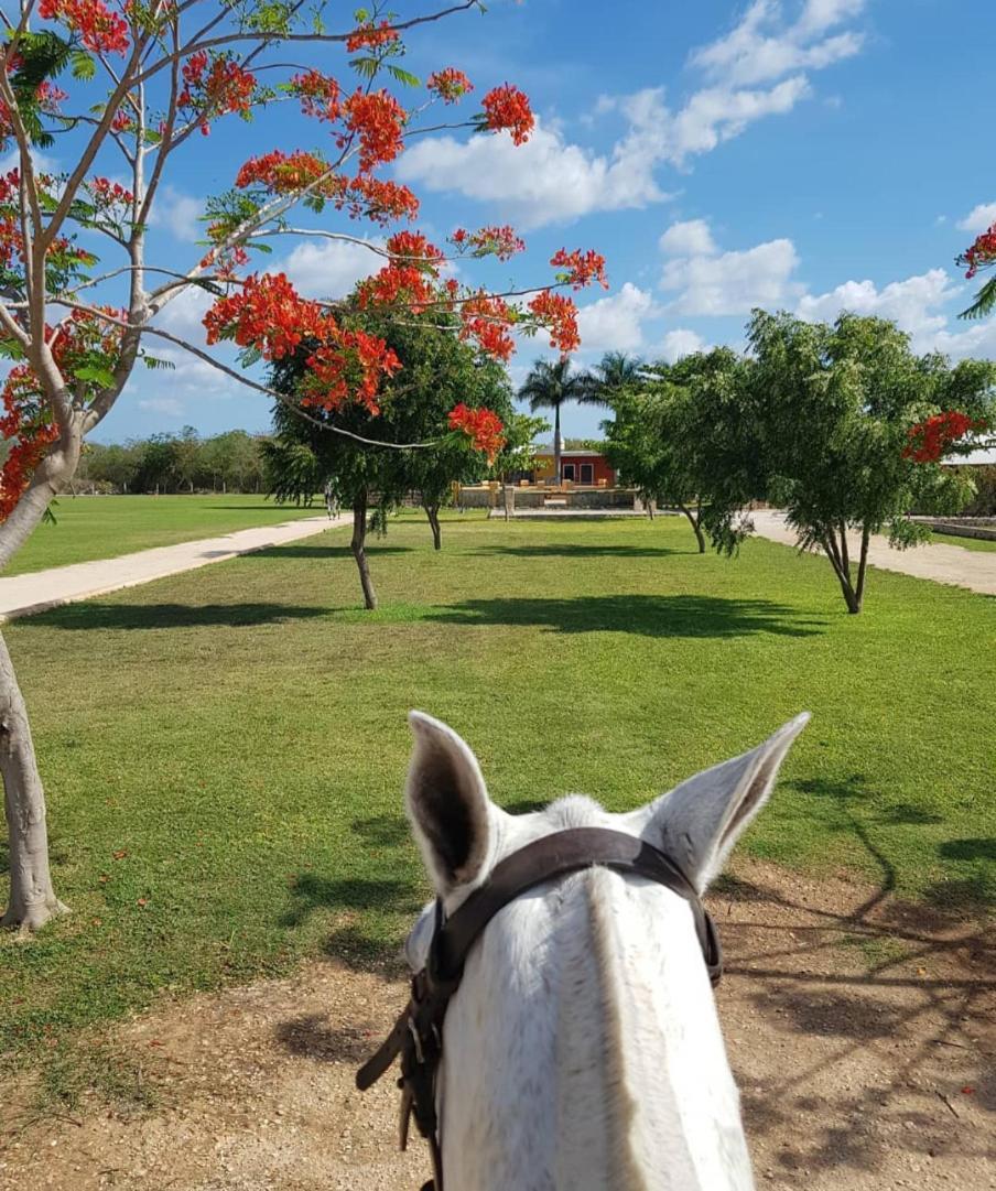 Campo Paraiso 3*