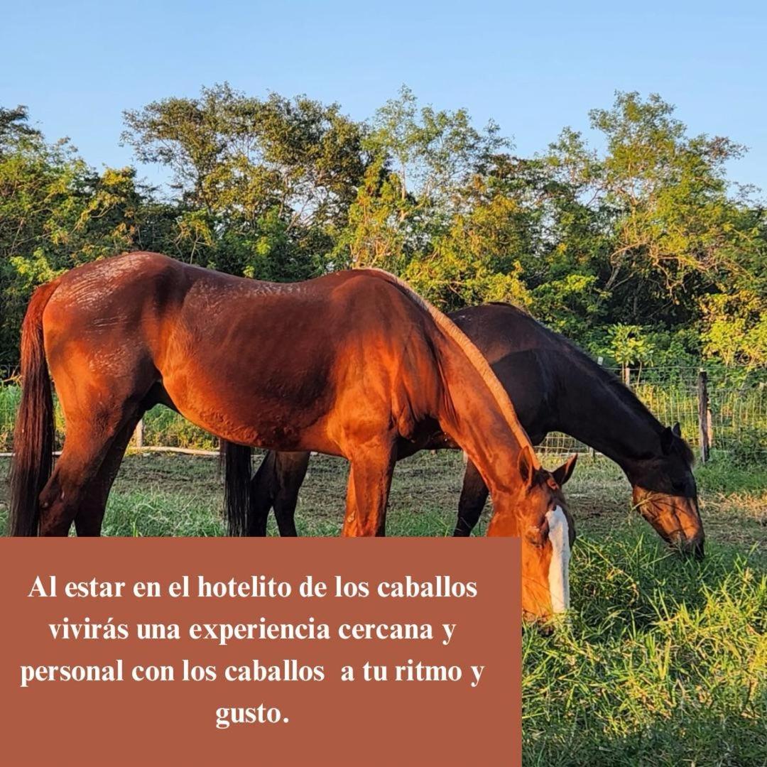 Campo Paraiso