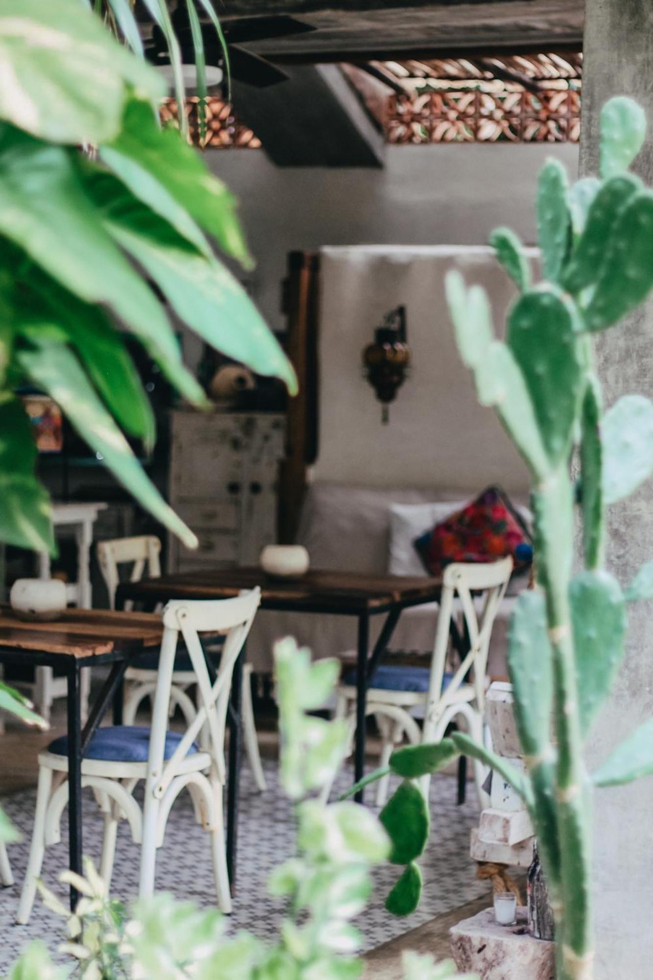 Verdeamar Eco Jungle Retreat Bed & Breakfast