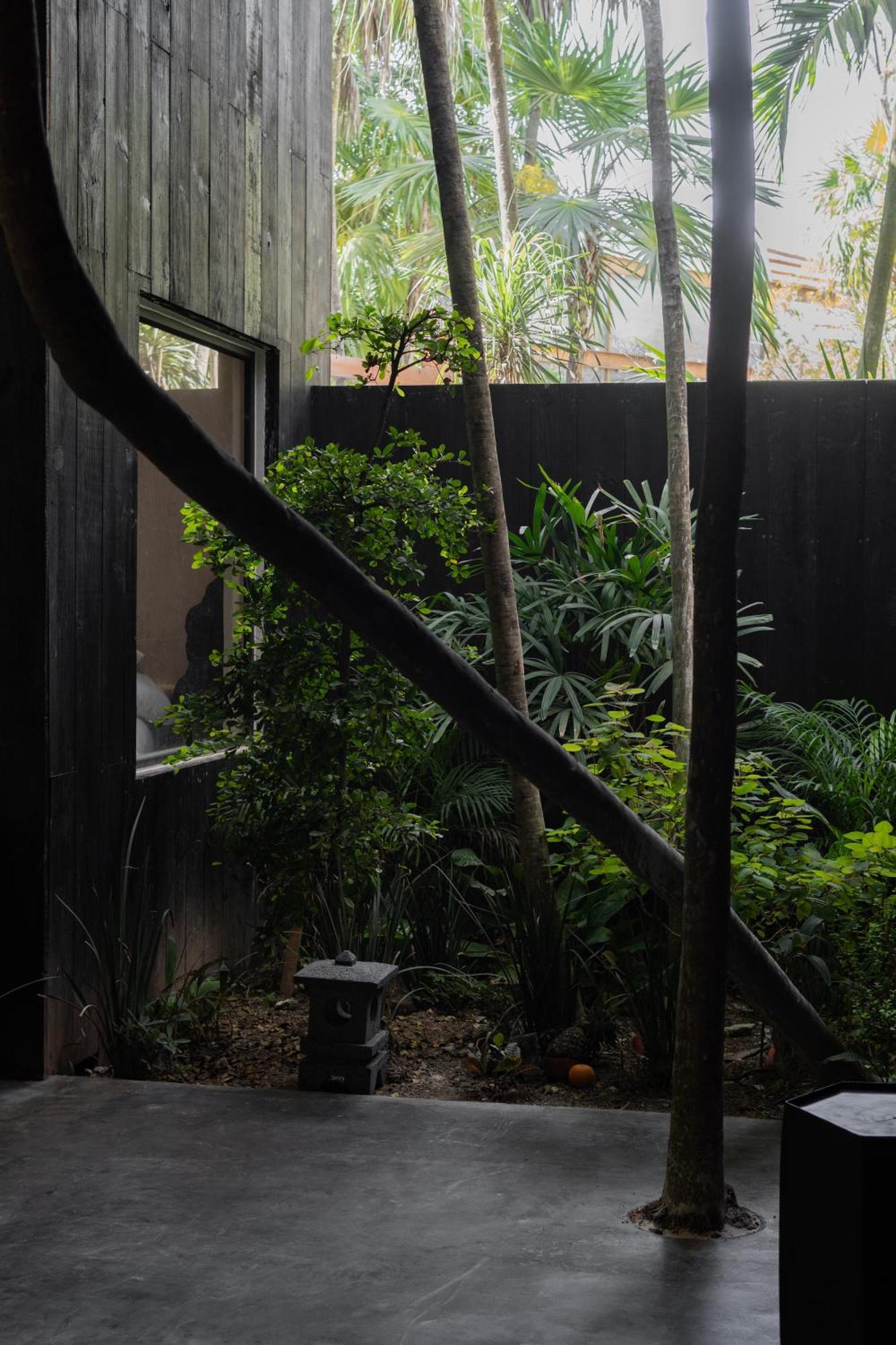 Umi Hotel Tulum