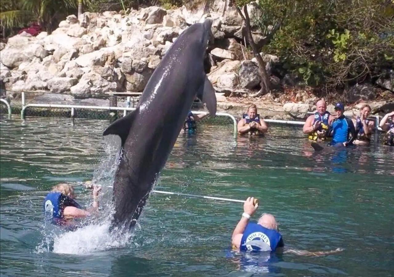 Boho Breeze Escape, Locationtop,bohemian,dolphinariumview,fastwifi Apartment