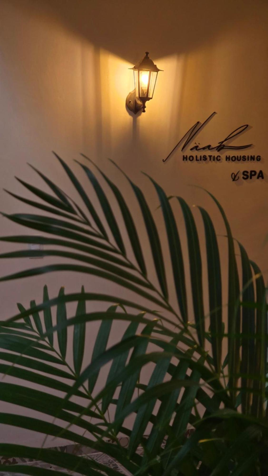 Naeab Holistic Housing *