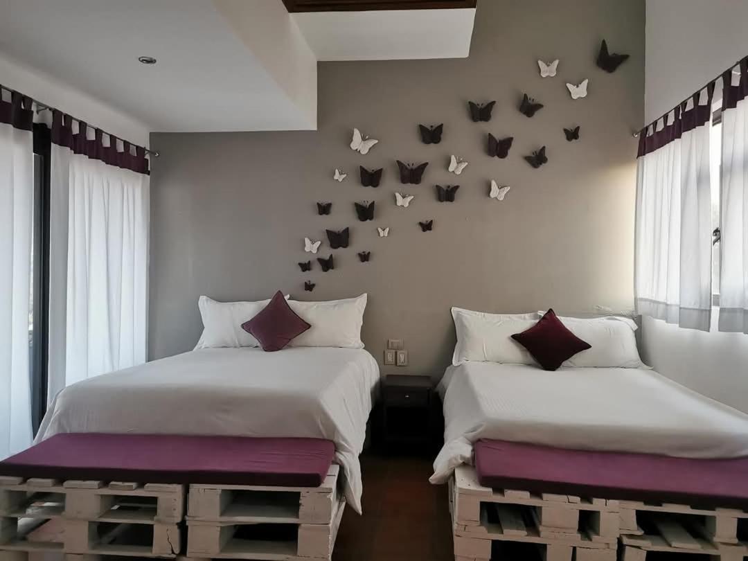 Ali 2* Tepoztlan
