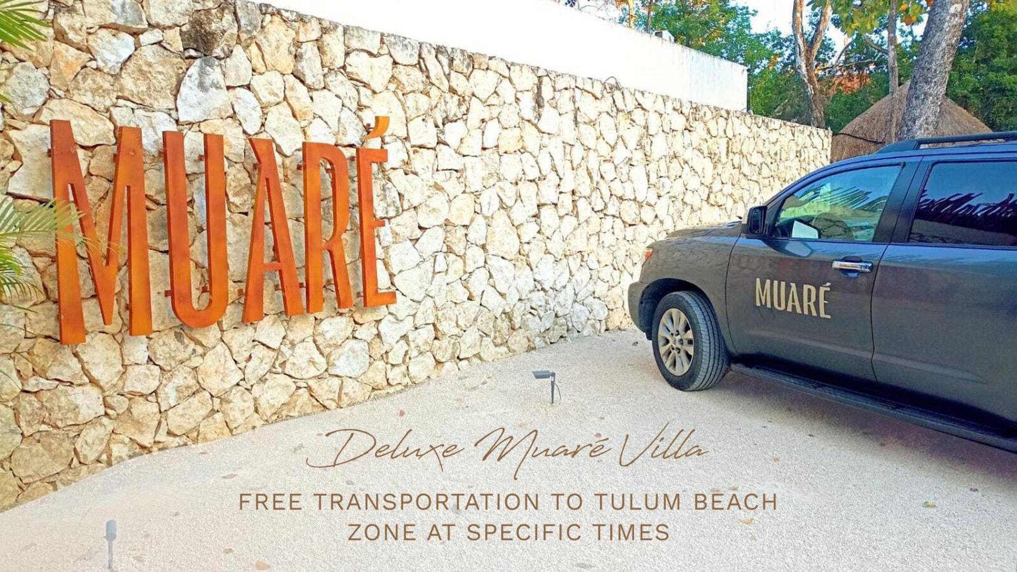 Muare (adults Only) 5*