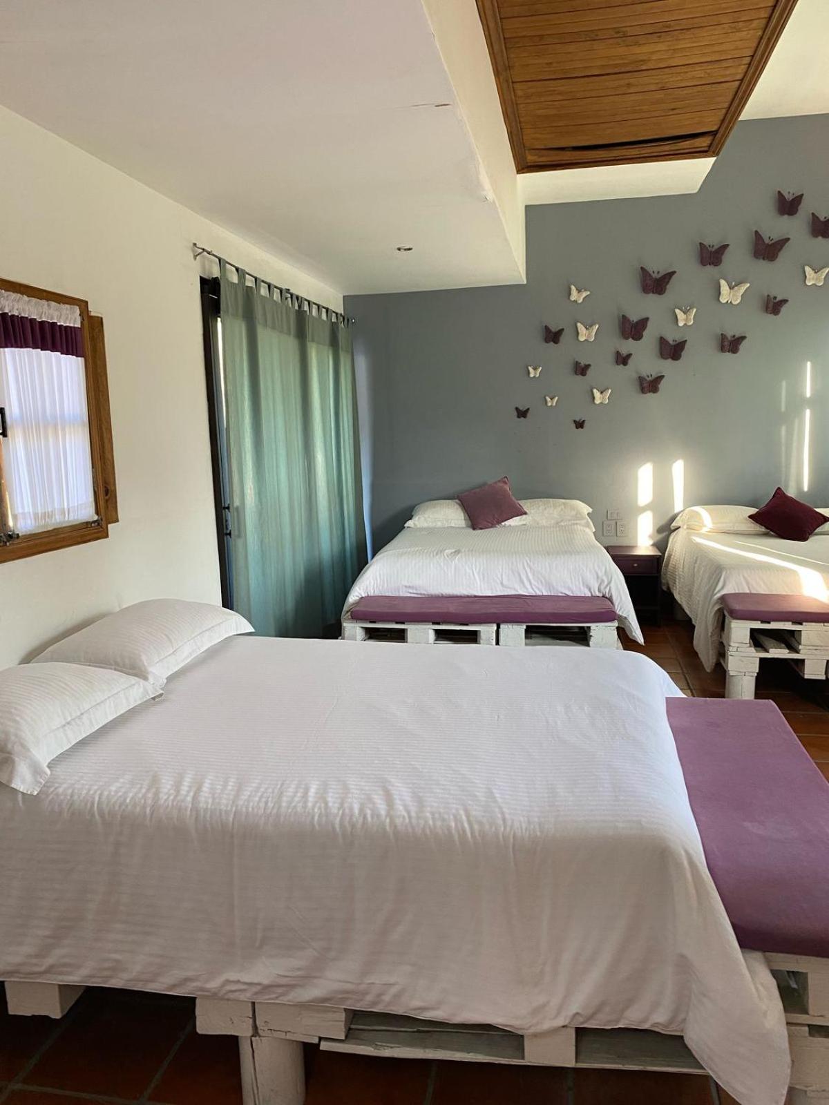 Ali 2* Tepoztlan
