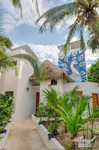 Beachfront Hammock Heaven Apartment Akumal