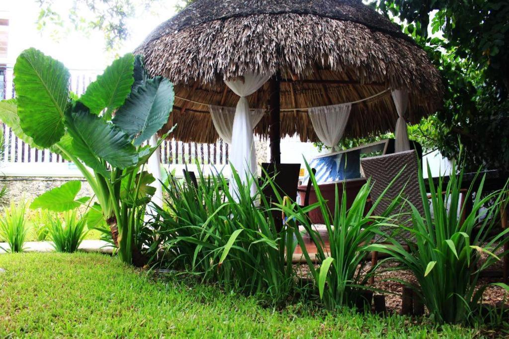 Maya Del Carmen Hotel 2*