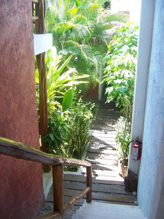 Apartment Elements Of The Island *