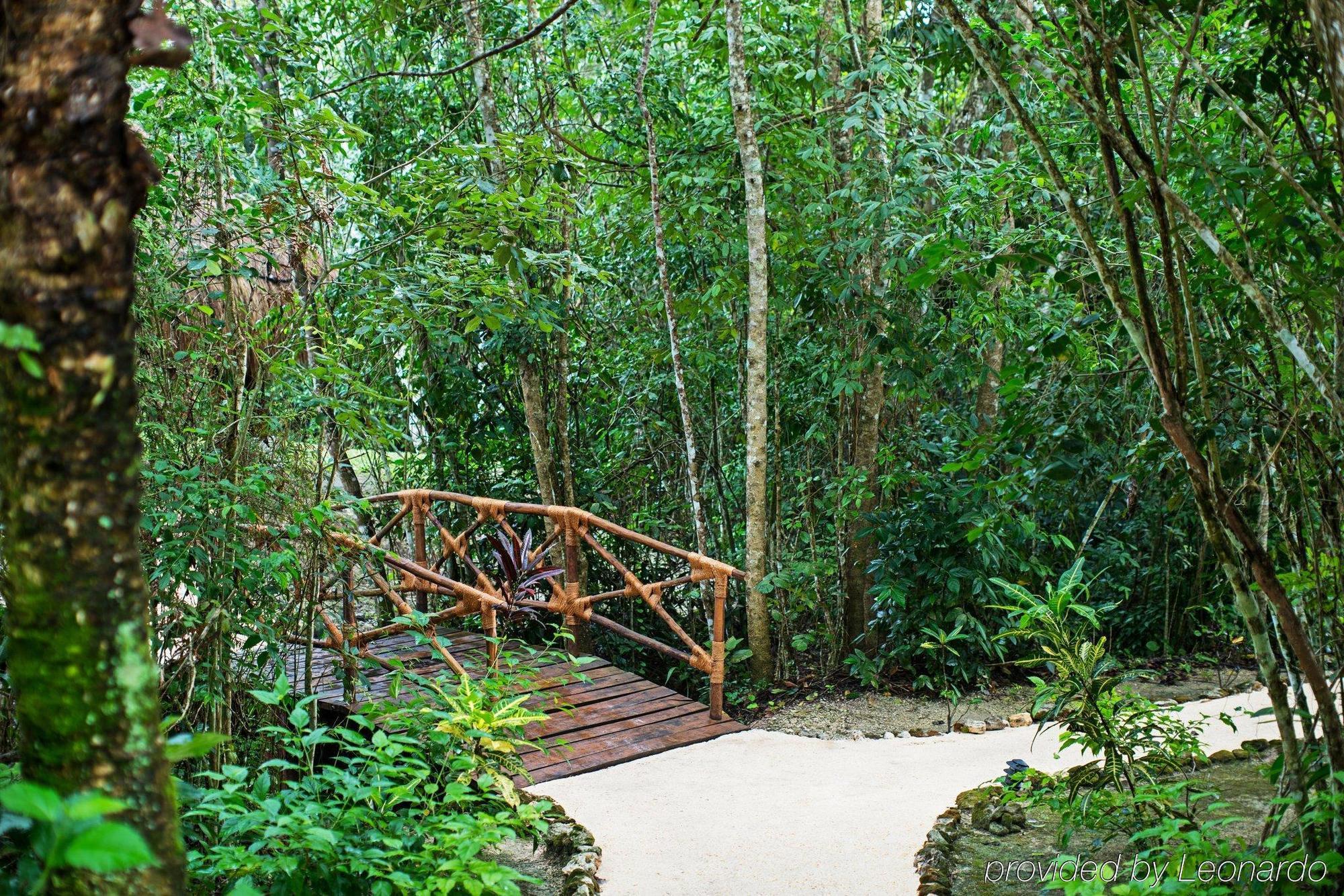 The Explorean Kohunlich Resort 5*