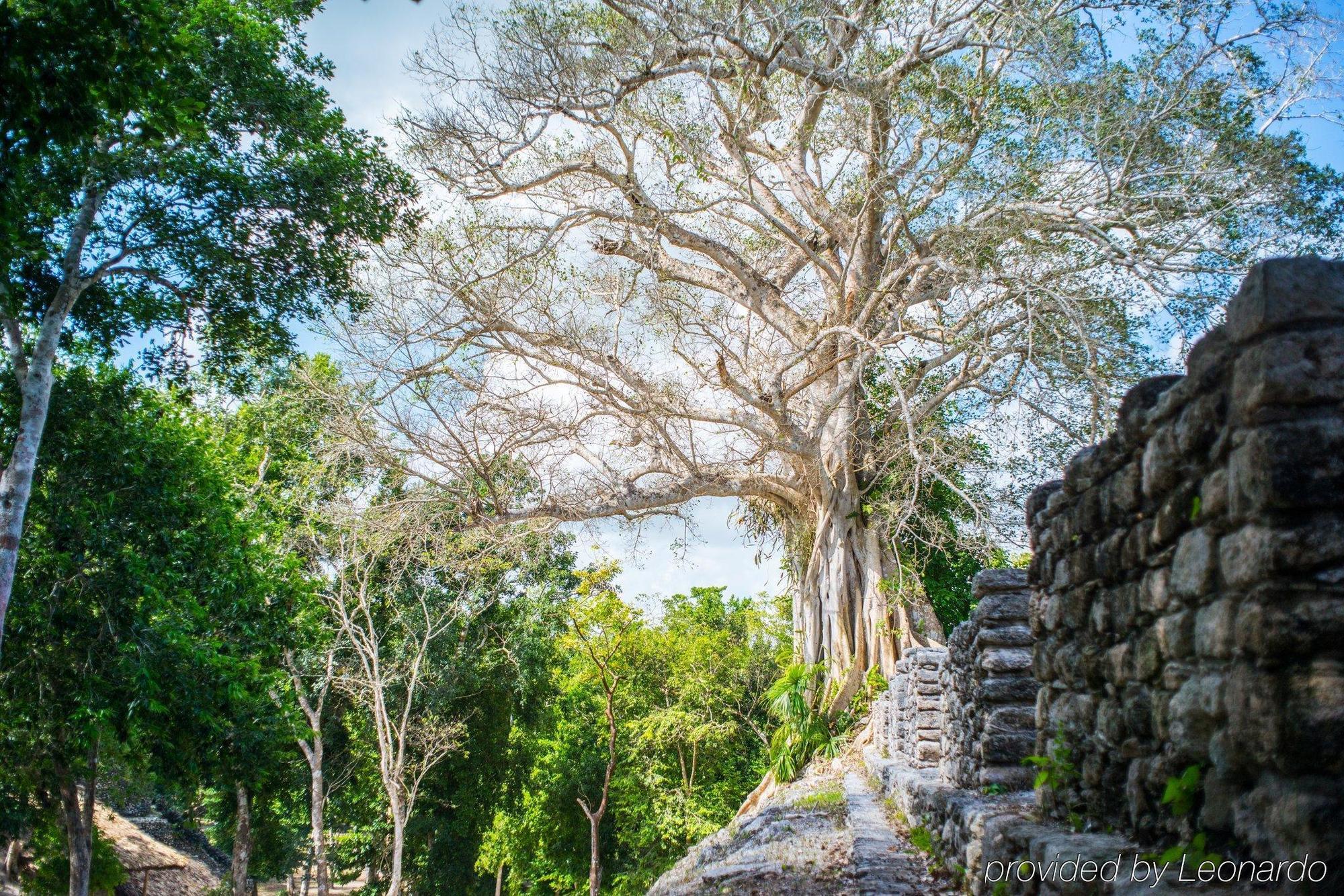 The Explorean Kohunlich Resort Ruinas Kohunlich