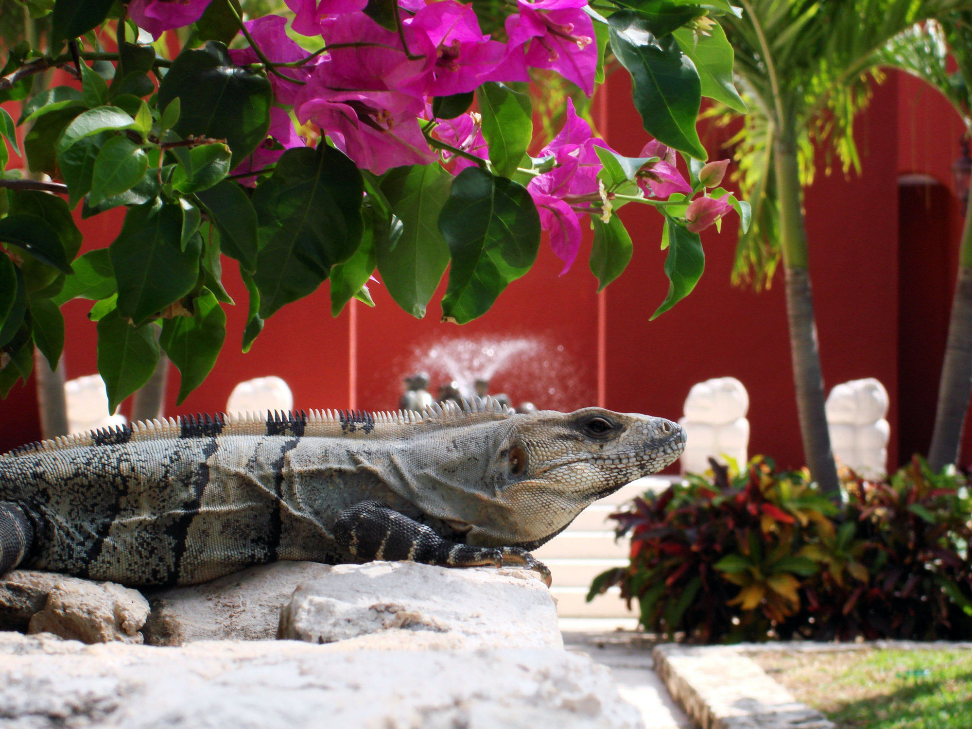 Paraiso De La Bonita Adult All-inclusive, A Luxury Collection