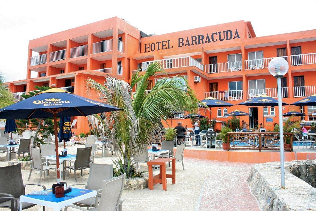 Hotel Barracuda 3*