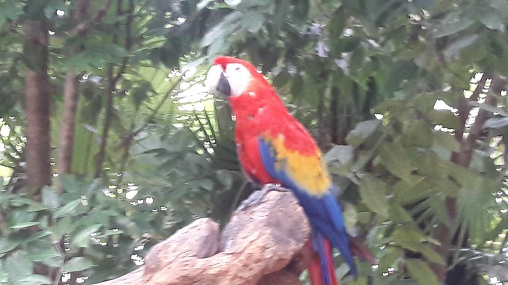 Vida Nueva Bed&Breakfast Peregrina Bed & Breakfast