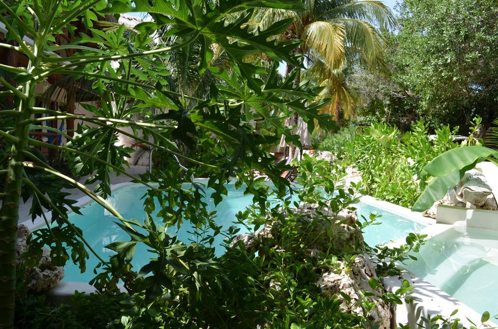 Casa Iguana - Beachfront 3*