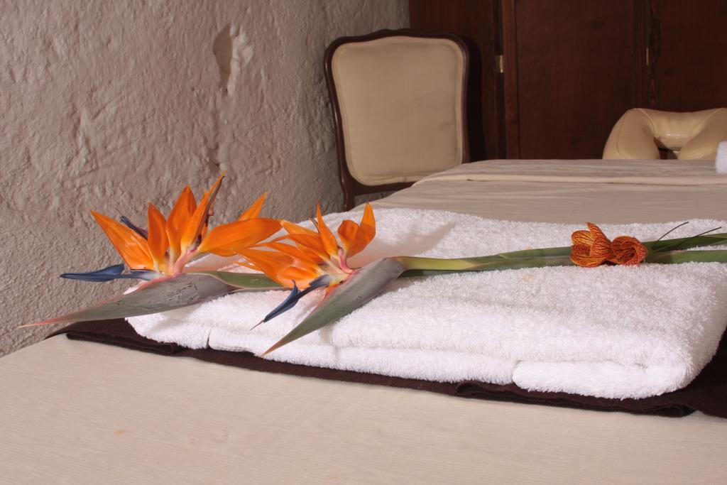 Del Villar Queretaro