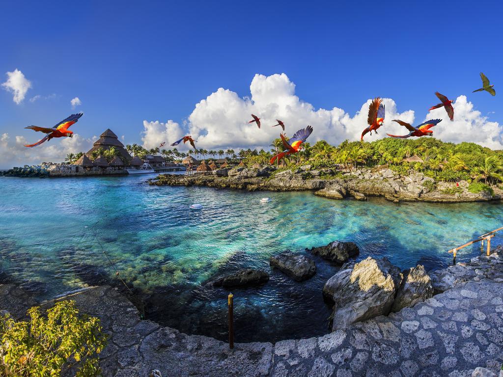 Occidental At Xcaret Destination 5*