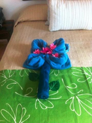 Hotel Casa Iguana - Beachfront 3*