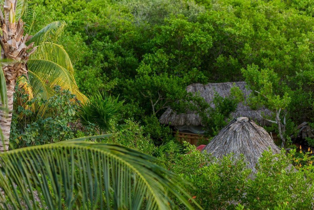 Ida Y Vuelta * Isla Holbox