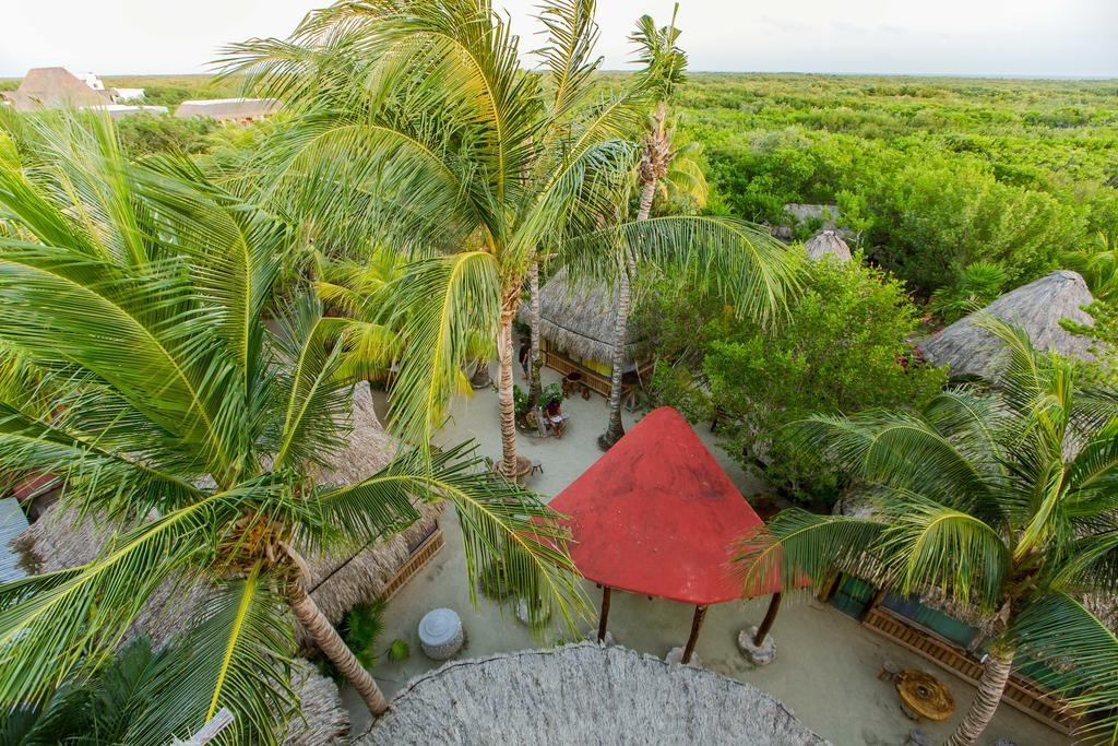 Ida Y Vuelta Isla Holbox