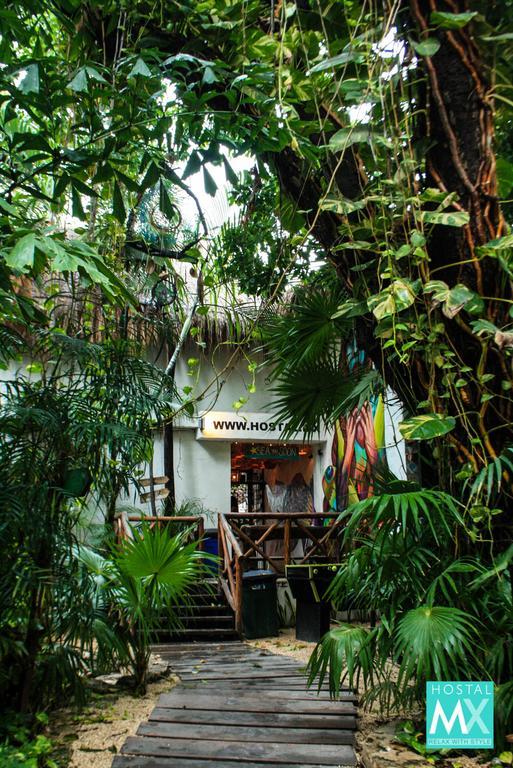 Hostel Hostal Mx 5Th Avenue