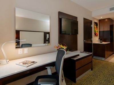Hotel Hilton Garden Angelopolis